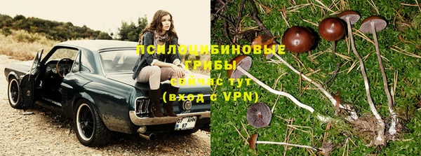 каннабис Богородицк